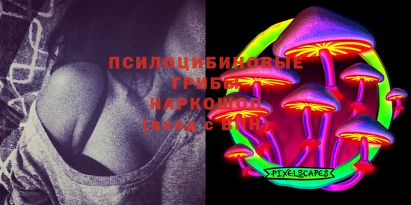 прущая мука Аркадак