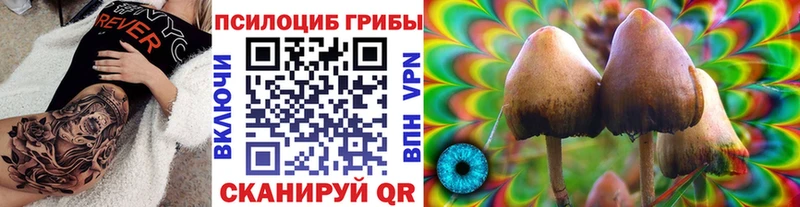 Псилоцибиновые грибы мицелий  наркотики  hydra рабочий сайт  Семилуки 